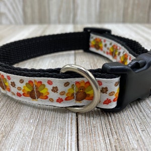 Turkey Dog Collar, Thanksgiving Collar, Autumn, Fall, Halloween, Pumpkin, Orange, Harvest Collar, New Puppy, Dog Gift, Dog Mom Gift