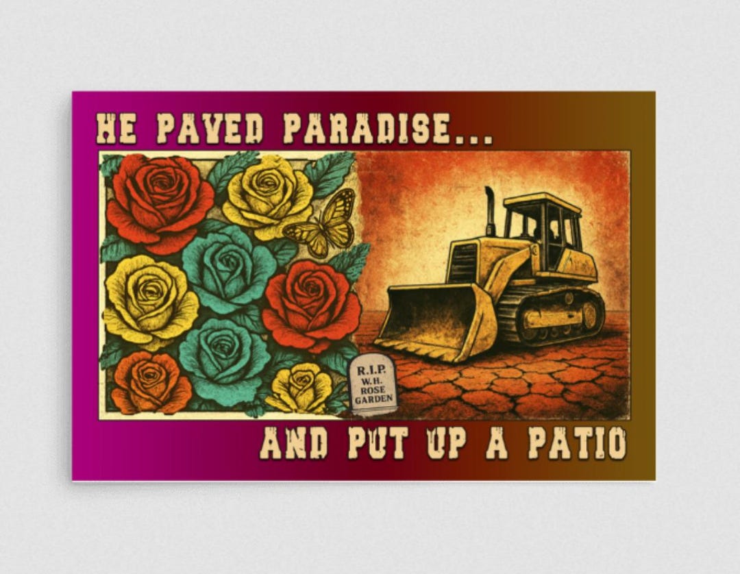 He Paved Paradise and Put up a Patio – Grungy Pulp Protest Poster, Anti ...
