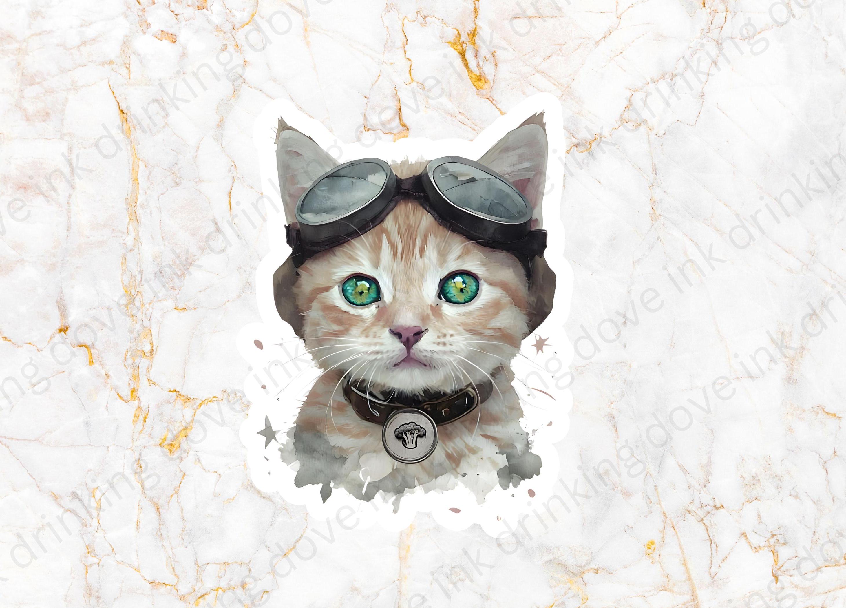 Broccoli Orange Kitten Fourth Wing, Onyx Storm, Claw Card, Drake's