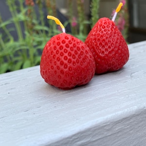 Handmade Lime Beeswax Candle: Natural Air Purifier, Pennsylvania Honey Scent