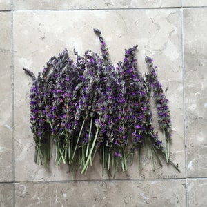 Organic Natural Air Dried California USA Lavender image 1