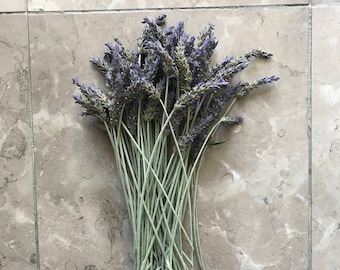 12in Long Stem Organic Natural Air Dried California USA Lavender