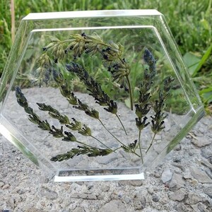 May include: A hexagonal clear resin coaster with dried lavender flowers pressed inside. The flowers are a mix of green and purple.