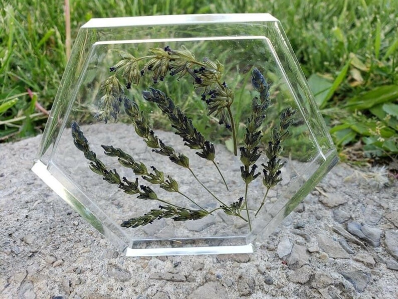 May include: A hexagonal clear resin coaster with dried lavender flowers pressed inside. The flowers are a mix of green and purple.