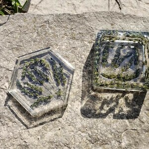 May include: Two hexagonal resin coasters with dried flowers pressed inside. The coasters are clear and show the flowers in detail. The flowers are a mix of green and purple.
