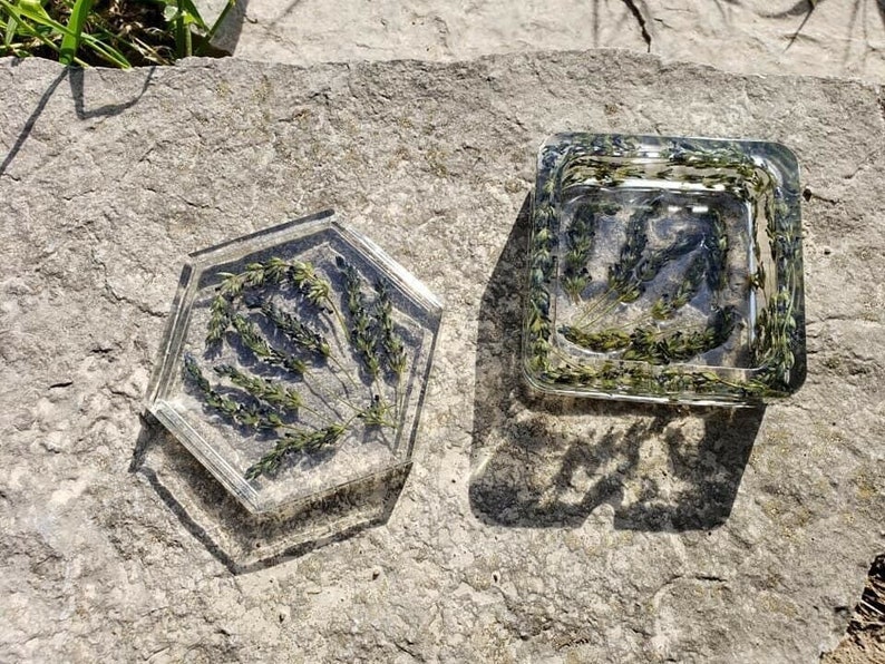 May include: Two hexagonal resin coasters with dried flowers pressed inside. The coasters are clear and show the flowers in detail. The flowers are a mix of green and purple.