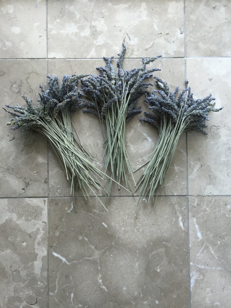May include: Three bundles of dried lavender flowers arranged in a triangle on a light gray tiled surface.