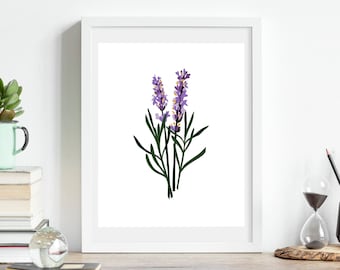 Lila Lavendel Botanischer Wand kunstdruck