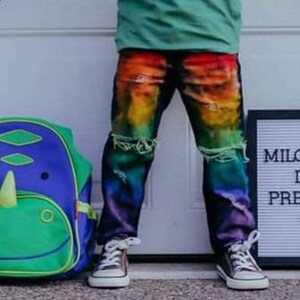 reformation rainbow pants