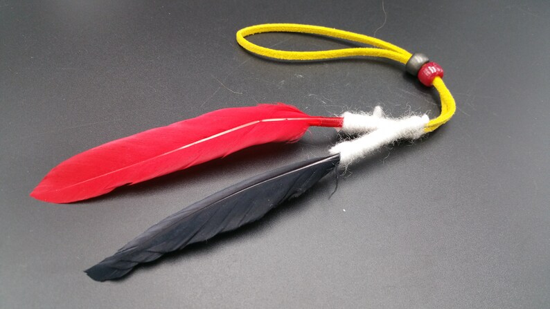 Native American Navajo Friendship Feather Red and Red by Ron Manygoats