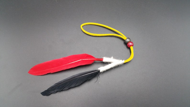 Native American Navajo Friendship Feather Red and Red by Ron Manygoats