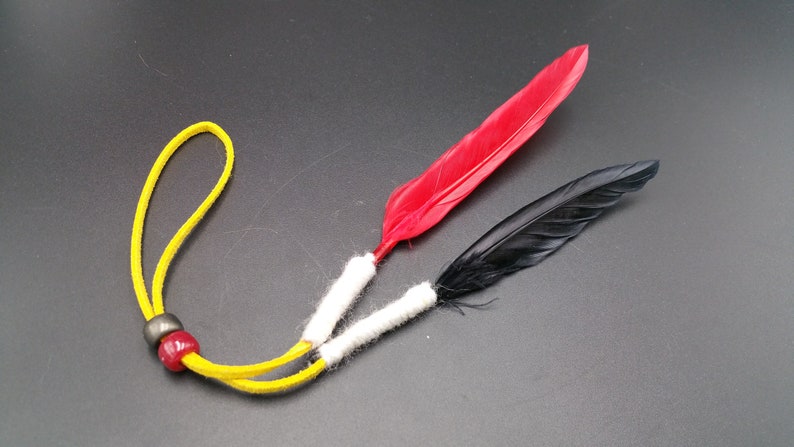 Native American Navajo Friendship Feather Red and Red by Ron Manygoats