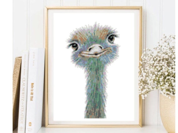 Ostrich Cross Stitch Pattern Modern Cross Stitch Animal Etsy