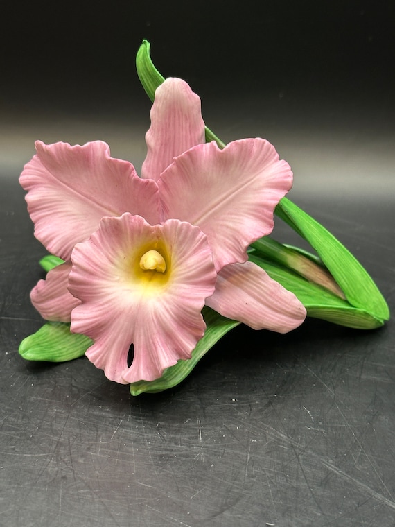 Cattleya Orchid Lennox Light Purple Pink Color 1988 - Etsy
