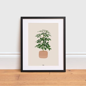 Schefflera plant Illustration - Umbrella plant poster | Indoor plant | Houseplant Print | Plant Poster