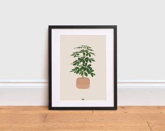 Schefflera plant Illustration - Umbrella plant poster | Indoor plant | Houseplant Print | Plant Poster