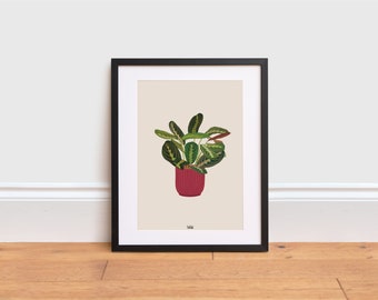 Impresión artística de una planta de oración: ilustración moderna de una planta de interior