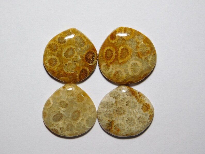 R-8861 Fossil Coral Gemstone For Jewelry 61 Cts 100/% Natural Fossil Coral Cabochon Gemstone Glorious 04 Pcs Lot Fossil Coral Loose Stone