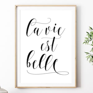 Afdrukbare La Vie Est Belle, Life Is Beautiful, Franse muurkunst, digitale Instant Download afdrukbare muurkunst