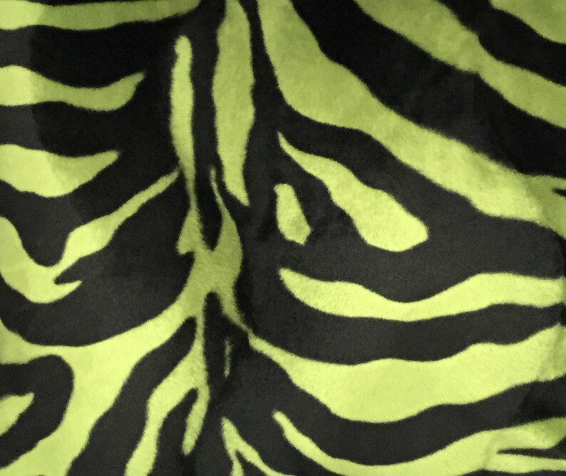 Zebra Print Pillow Animal Print Green and Black Pillow Etsy