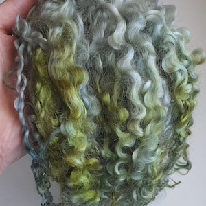 Teeswater locks, wool locks, weaving, dread locks, locks, dolls hair, fringing, long locks, wool, Teeswater sheep