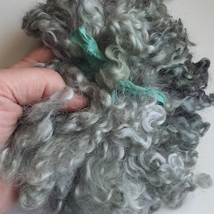 Teeswater locks, wool locks, weaving, dread locks, locks, dolls hair, fringing, long locks, wool, Teeswater sheep