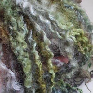 Teeswater locks, wool locks, weaving, dread locks, locks, dolls hair, fringing, long locks, wool, Teeswater sheep
