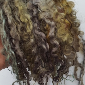 Teeswater locks, wool locks, weaving, dread locks, locks, dolls hair, fringing, long locks, wool, Teeswater sheep