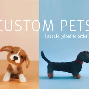 Needle Felted Pets Custom Order