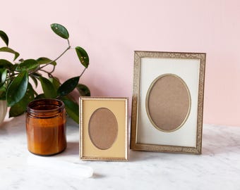 May include: A still-life composition featuring two decorative picture frames with oval openings, a brown glass jar, and a potted plant with green leaves. The frames have gold-colored borders and are set against a pink background.