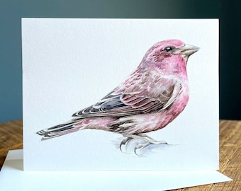 Purple Finch - Blank Note Card