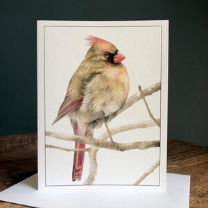 Northern Cardinal (Female) - Blank Art Card