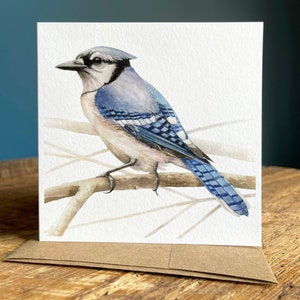 Blue Jay Note Card (Square)