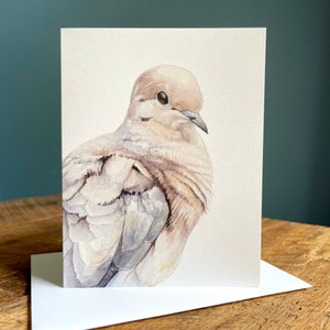Mourning Dove - Blank Note Card