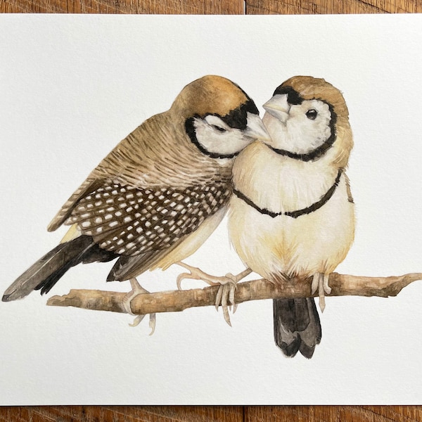 Watercolor Bird Art Print: Owl Finches, 8x10 inches