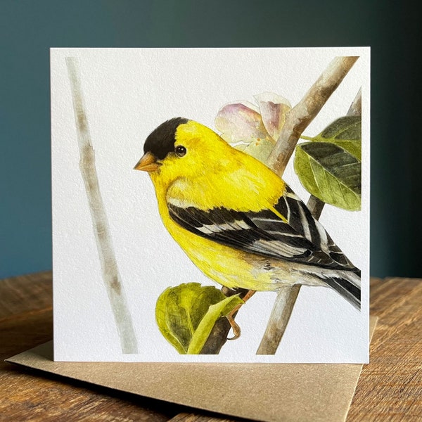 American Goldfinch - Blank Note Card (Square)