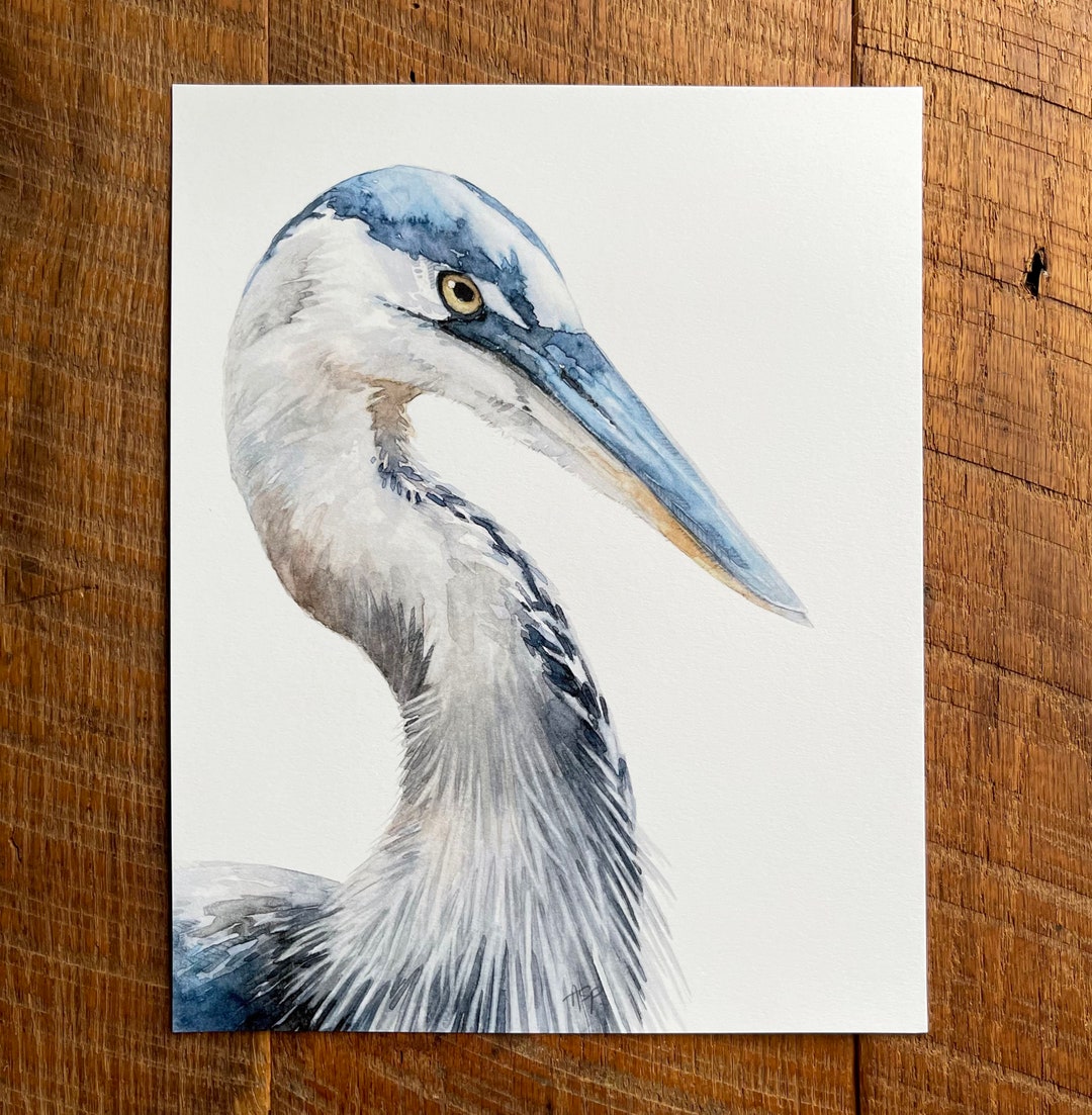 Great Blue Heron Watercolor Art Print 8x10 Inches - Etsy