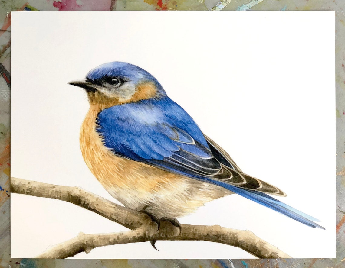 Bluebird Watercolor Art Print Bird Illustration Wall Art Etsy