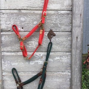 Break away horse halters