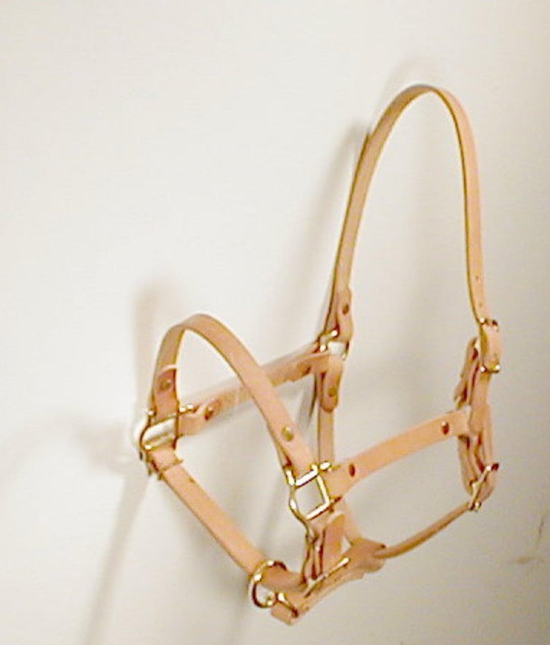 Leather Foal Halter Etsy