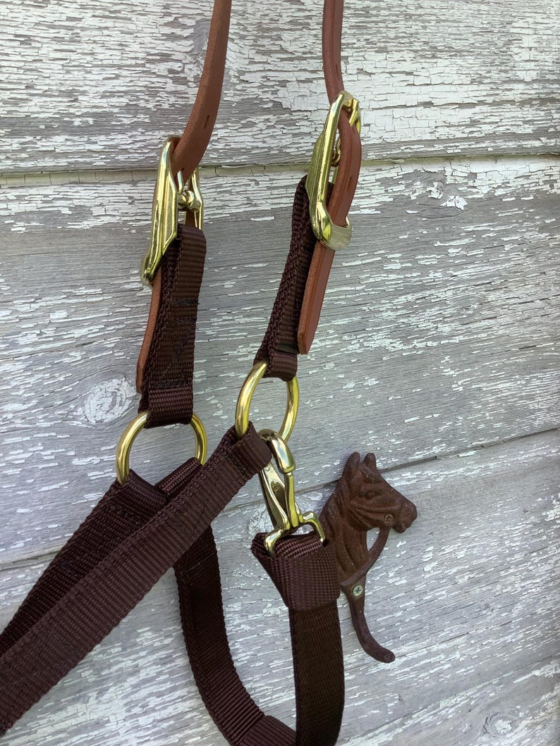 Break away nylon halter image 1
