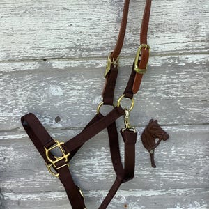Break away nylon halter image 2
