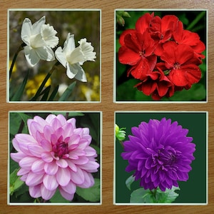 Glass coasters, Coasters, Boxed coaster set, (Set2)
