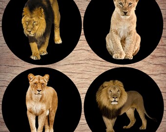 Ceramic coasters, Set of 4, Lions, Ceramic gift, Wedding gift, Birthday gift