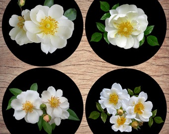 Ceramic coasters, Set of 4, White roses, Ceramic gift, Wedding gift, Birthday gift
