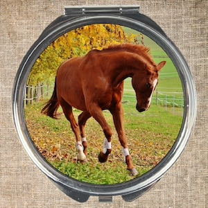 Compact mirror, Round compact, Mirror and pouch, Horse