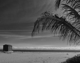 New Jersey Beach photography- matted black and white - BRIGANTINE BEACH home decor, beach wall art, palm tree, bathroom decor, gift,