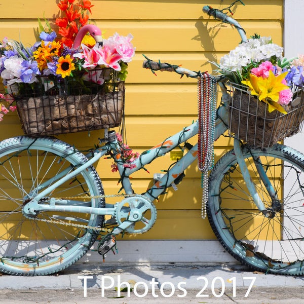 Flower Bicycle - Fine art photography, yellow colorful, bike, hippie, urban, home, wall art, living, bathroom, nature, matted, Key West