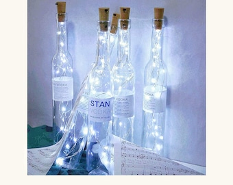 Wine Bottle LED Cork Lights DIY (Cool White) Batteries Included! DIY Glass Jar Craft Light Wedding Paint Lantern Christmas Fairy String Kit