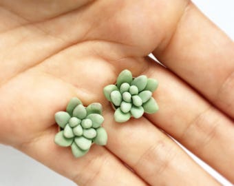 Succulent earrings mint succulent stud earrings plant jewerly succulent wedding mint flower earrings blush mint wedding bridesmaid succulent